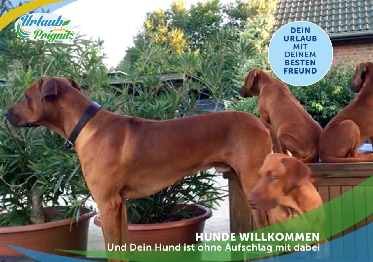 Jagd-Angler-Holzhaus-Im-Wald-Am-See Villa Kyritz Buitenkant foto